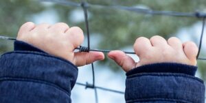 Kid hands on wire fence